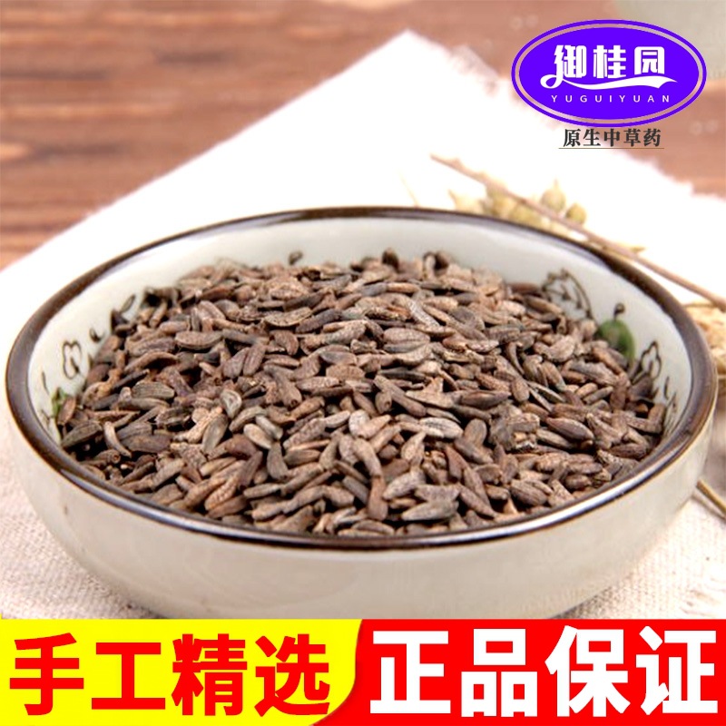 牛蒡子无硫野生大力子新货 中药材牛子牛蒡子茶牛旁子牛蒡子粉