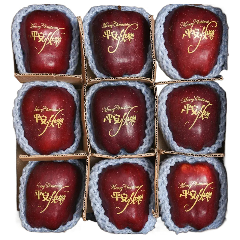 圣诞果花牛苹果甘肃花牛苹果整件包邮新鲜水果圣诞果一件代发