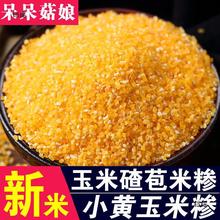 小黄玉米糁500g 呆呆姑娘碎玉米粒玉米渣细玉米糁棒子苞米茬【呆