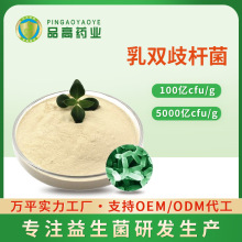 乳双歧杆菌支持定制 乳酸菌粉 100亿-5000亿CFU/G活性益生菌原粉