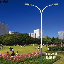 VXF现做6米市电220V道路户外路灯市政高低臂LED双臂双头景观庭院