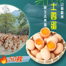 整箱50枚山林散养土鸡蛋新鲜农家草鸡蛋柴鸡蛋儿童孕妇营养蛋包邮