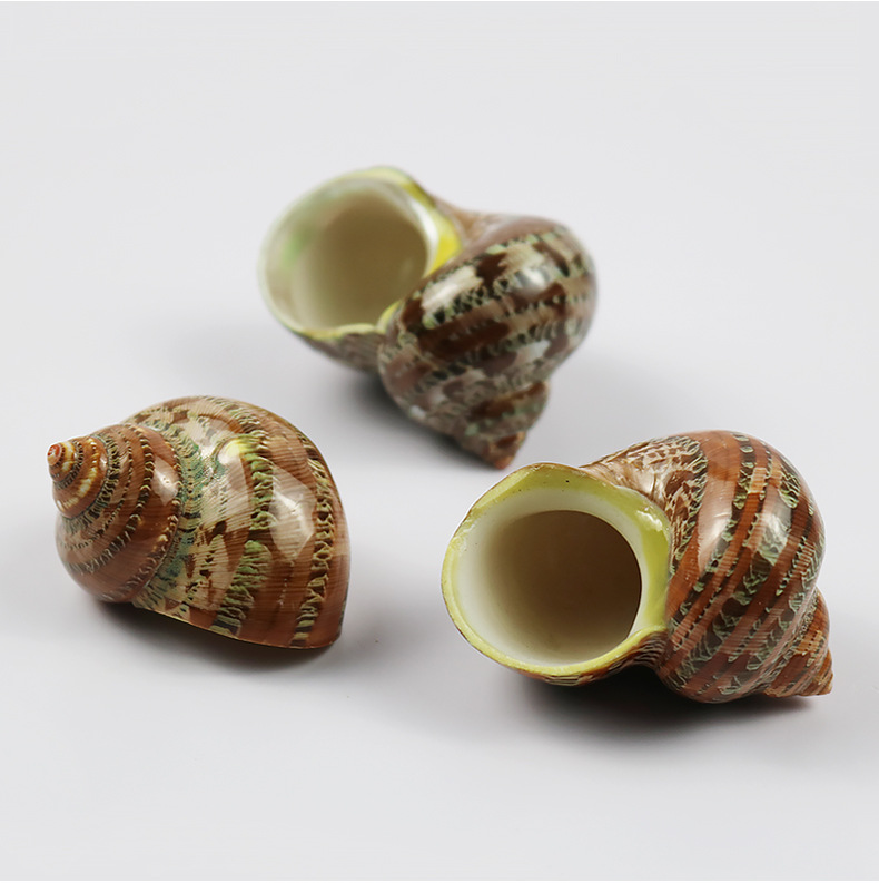 厂价批发寄居蟹替换壳海螺贝壳绿色猫眼螺鱼缸造景水族馆装饰摆件