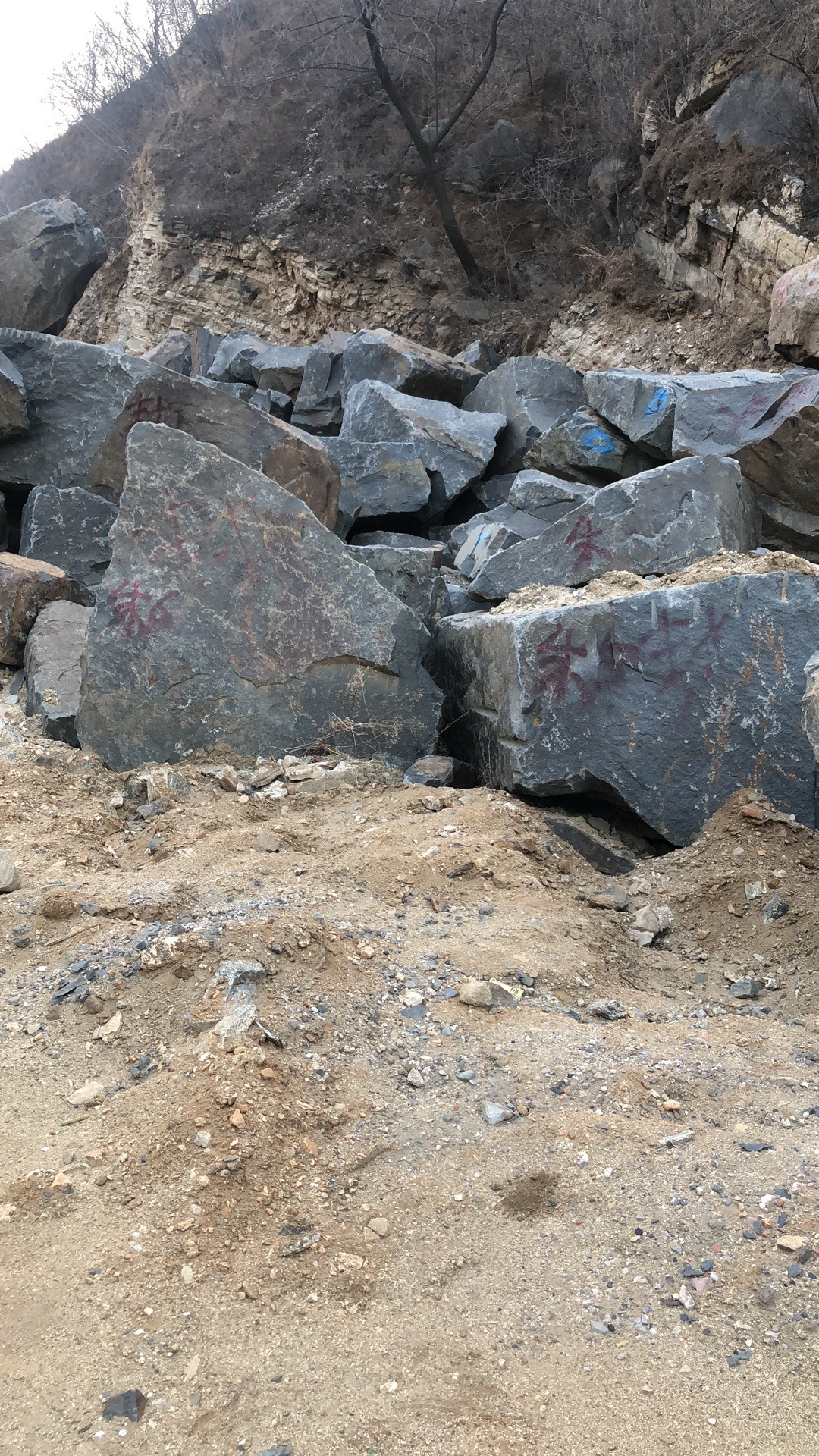 中国山西河北黑石材供应 花岗岩园林假山造景景观石公园置石