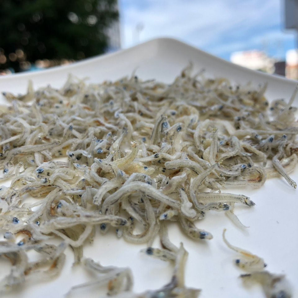 出口日本野生丁香鱼干500g福建东山特产淡晒小鱼干海燕鱼小银鱼干