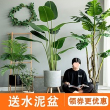 仿真植物假天堂鸟仿生绿植盆栽摆件旅人蕉芭蕉树室内客厅装饰造景