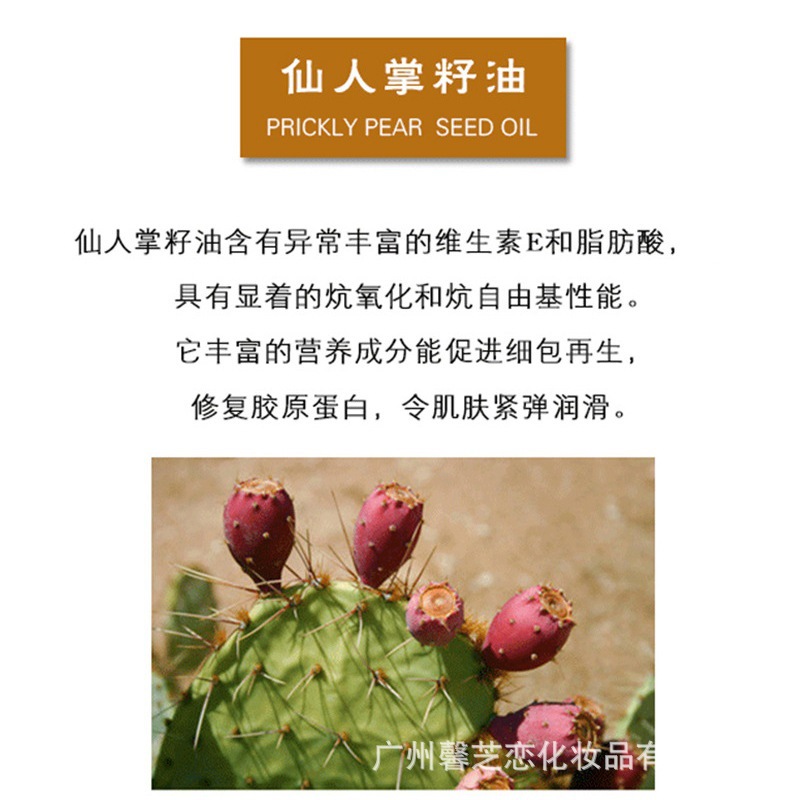仙人掌果油护肤按摩精油 冷压初榨仙人掌籽油基础油原料厂家直销