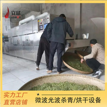 立威隧道式茶叶杀青机 多层微波杀青隧道炉 复合式新式杀青机械