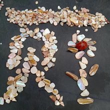 不规则贝壳碎片贝壳片贝壳碎石装饰材料工艺DIY马赛克用贝壳碎石