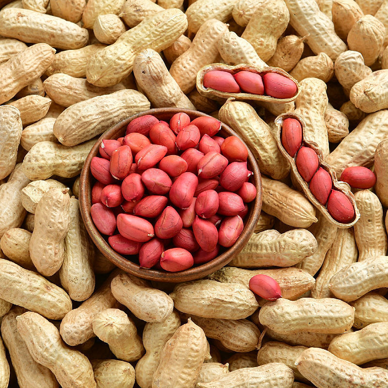 瓜子花生批发新货生和熟多规格可选花生米四粒红花生果原味红皮厂