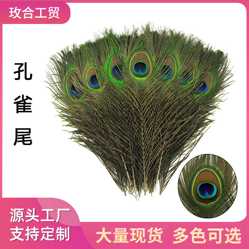 跨境热销现货大眼孔雀羽毛25-110cm天然孔雀尾羽毛插花工艺品装饰