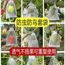 水果防鸟防虫套袋瓜果保护袋子无花果枇杷葡萄网袋桃子草莓保护套