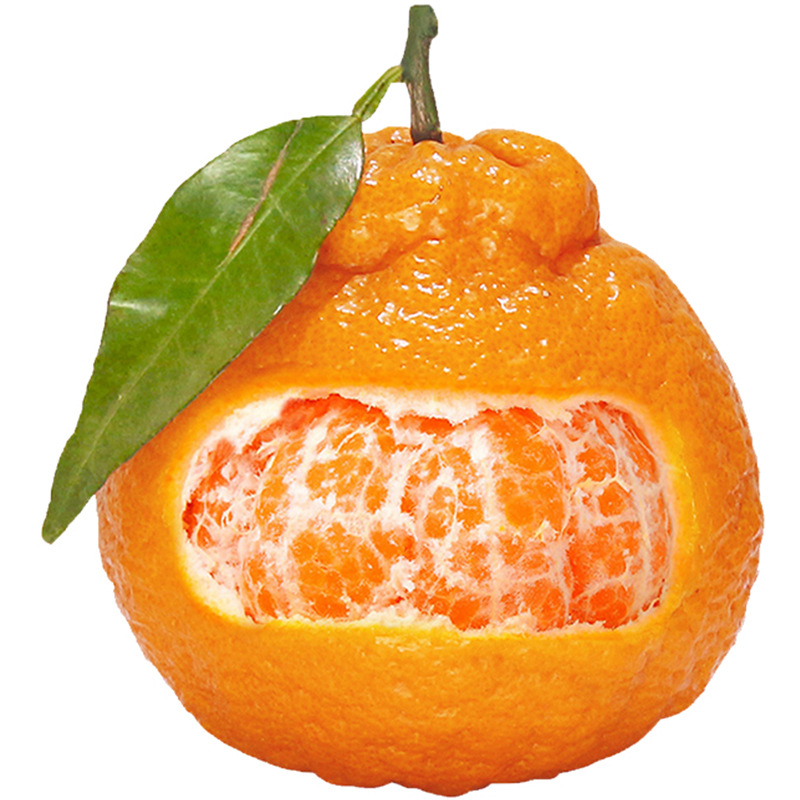 四川不知火丑橘水果新鲜整箱当季桔子柑橘丑柑橘子皇帝柑多汁现摘