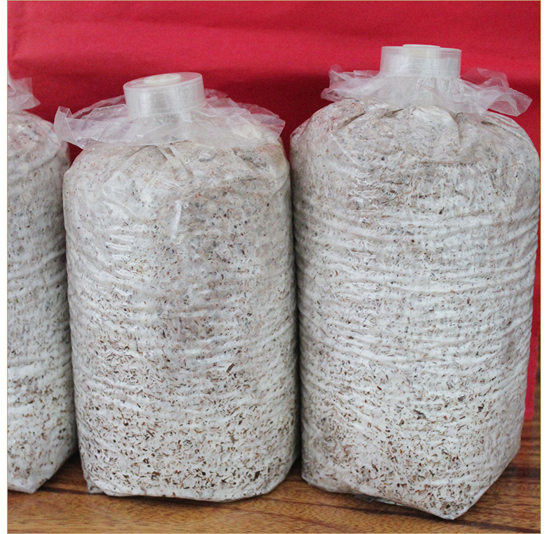 产地供应富菌花菇菌棒 菌包菌种 食用花菇菌类 货源充足 量大从优