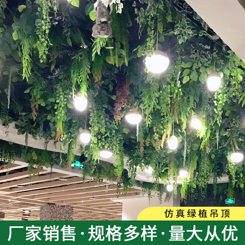 屋顶吊顶图