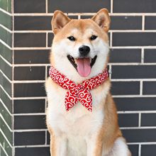 日系和风唐草棉围巾柴犬泰迪宠物猫狗狗配饰柠檬巾围巾蝴蝶结