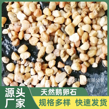 厂家地暖专用回填豆地暖石子批发天然鹅卵石污水处理滤料垫层石子