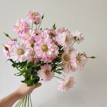 仙女粉仿真花长支百日草假花家居样板装饰婚庆路引仿真9头鱼尾菊