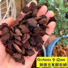 智利水苔毛毛虫新西兰Orchiata发酵树皮松鳞兰花栽培介质