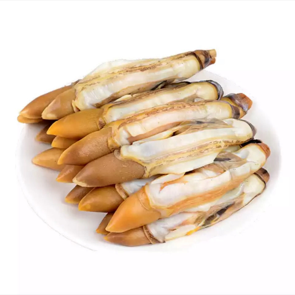 5斤包邮新鲜蛏王肉竹蛏肉海捕蛏子肉现剥手指蛏肉鲜活冷冻