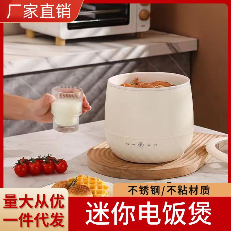 艾可熊多功能迷你电煮锅电饭煲学生煮粥神器电炖锅养生煲小饭锅