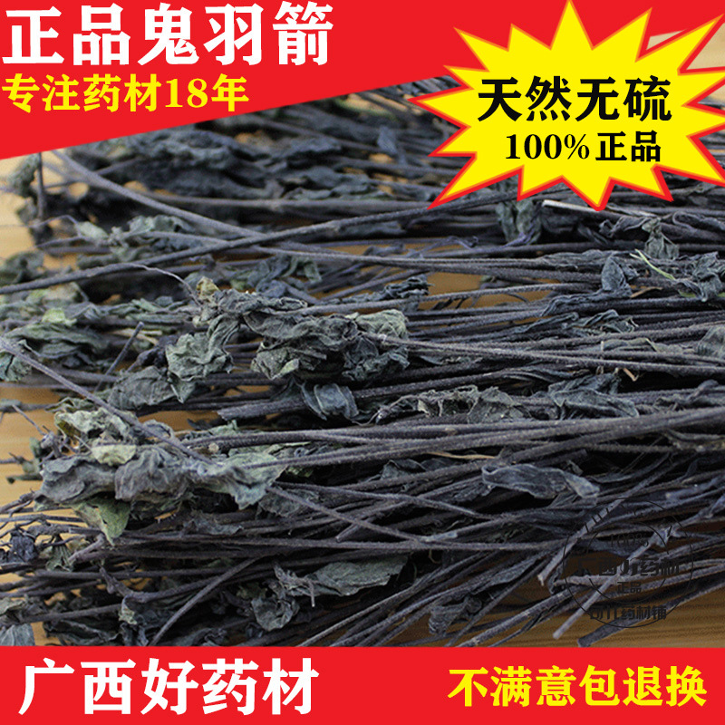 新货野生鬼羽箭中药材正品黑草羽箭草黑骨草克草黑马草250g包邮