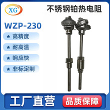 厂家供应WZP-230铂热电阻 PT100防腐热电阻 固定式热电阻
