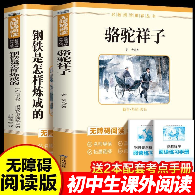 骆驼祥子和钢铁是怎样炼成的七八九年级下册必读书籍人教版