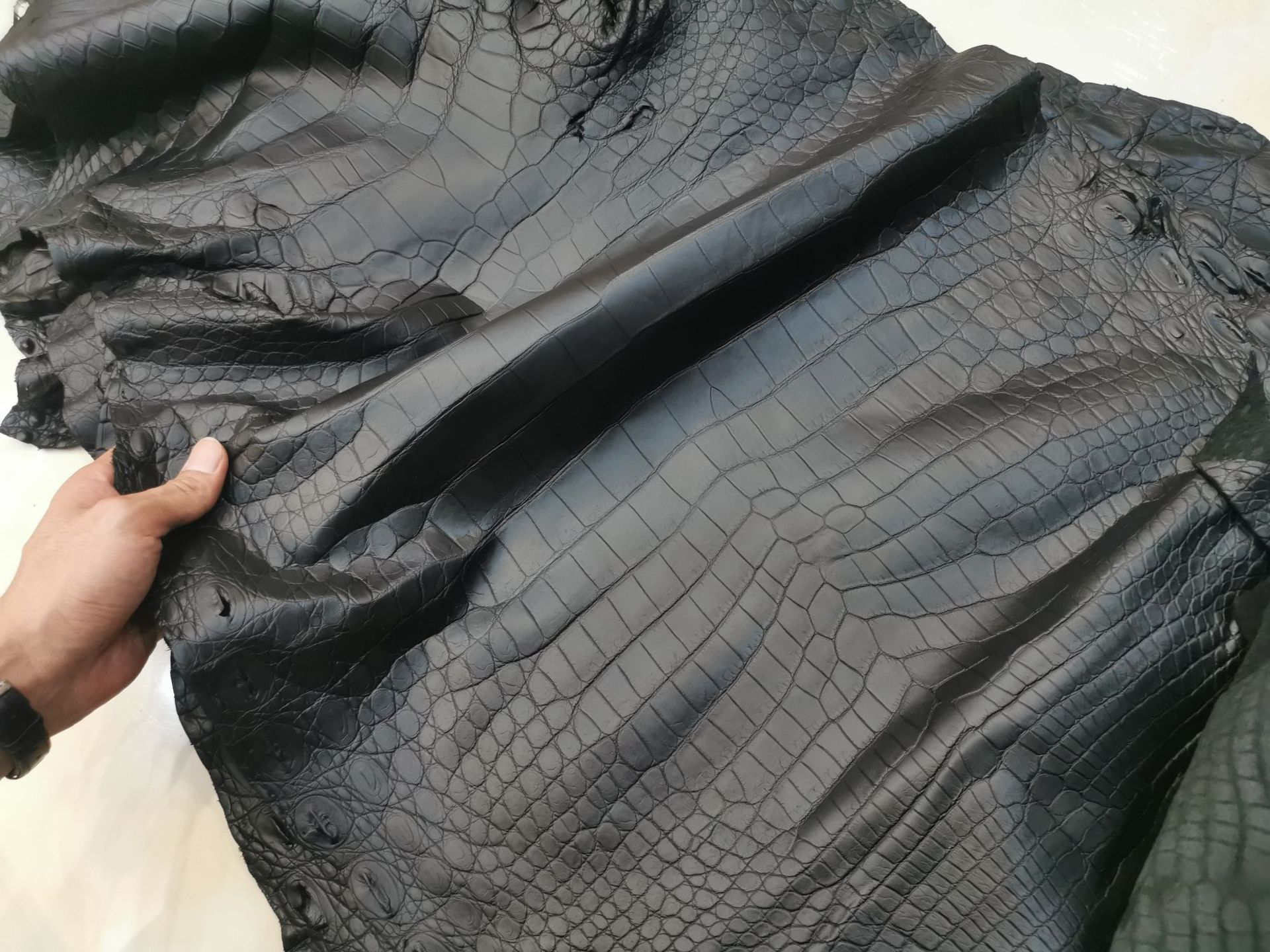 aresgator暹罗鳄鱼皮服装革面料水染哑光黑色雾面大尺寸鳄鱼皮料