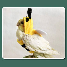 亚马逊新款宠物鸟衣服鹦鹉服装秋冬保暖可爱搞笑鹦鹉蜜蜂变身装