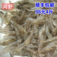 江苏淮安淡水河虾鲜活速冻新鲜草虾青虾食用炒菜油炸虾酱