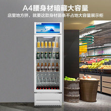 美的（Midea）立式单门家用展示柜商用冷藏柜 SC-280GM(Q)