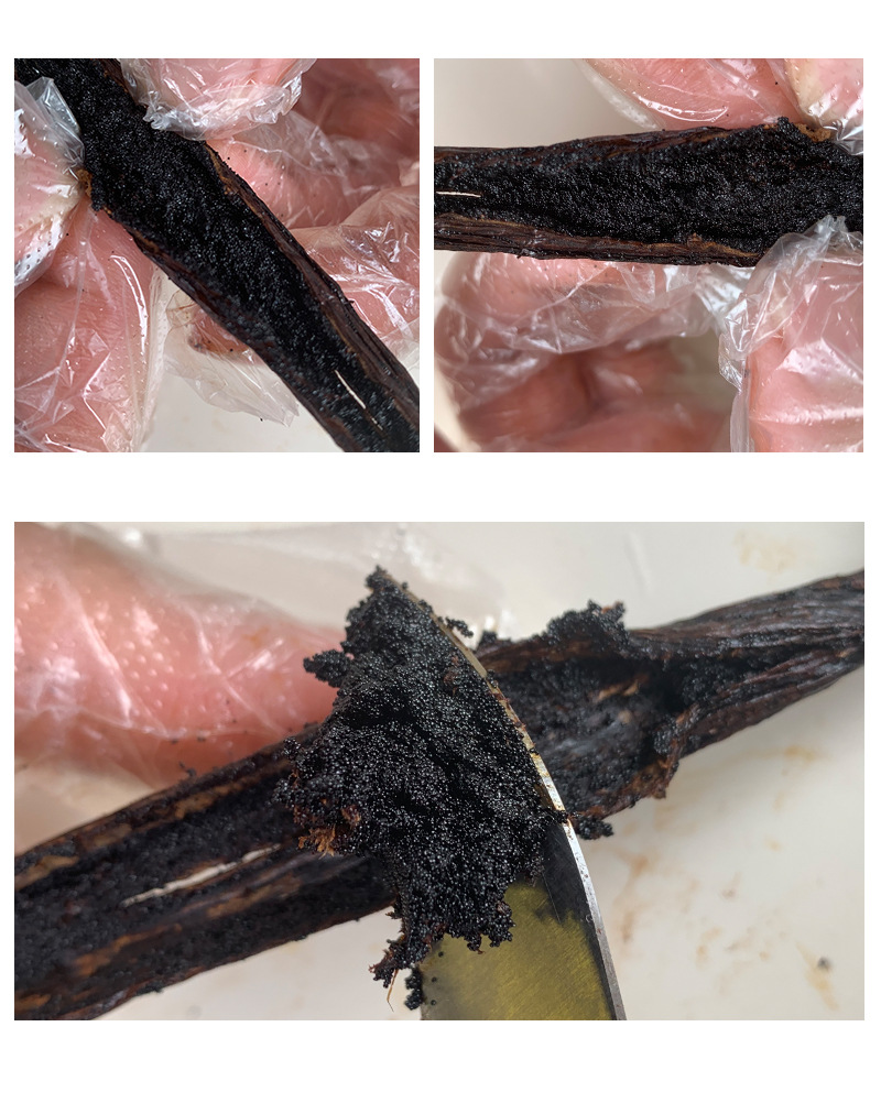 香草种籽 香草荚籽 香子兰豆籽 香草棒籽 香草条籽产地直供