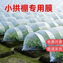 透明小拱棚膜塑料膜蔬菜大棚膜种菜农用薄膜育苗保温pe塑料布1米