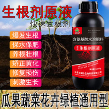 生根剂快速生根壮苗水溶肥植物通用树木移栽生根剂壮苗强力生根液