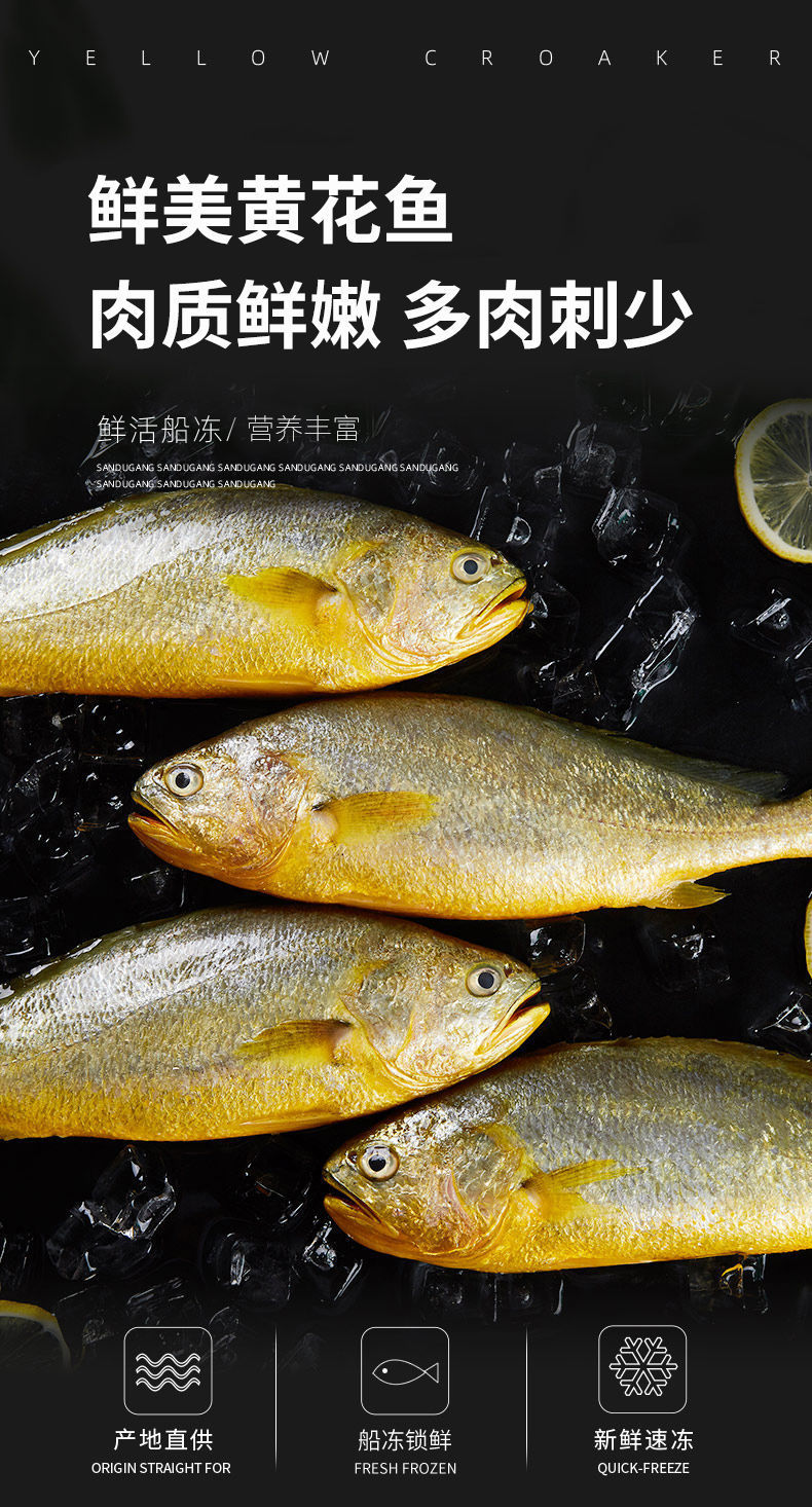 小黄鱼三都港速冻黄花鱼宁德大黄鱼海鲜新鲜水产约500g/条厂代发