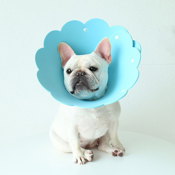 厂家批发eva伊丽莎白圈猫脖圈狗项圈 eva宠物防舔防水防抓头套