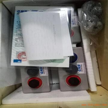 德国阳光蓄电池a602/300 免维护 2v300ah直流屏通讯ups用质保三年