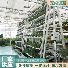 种植塔厂家供应 立体花架双面管道无土栽培设备 阳台种菜水培蔬菜