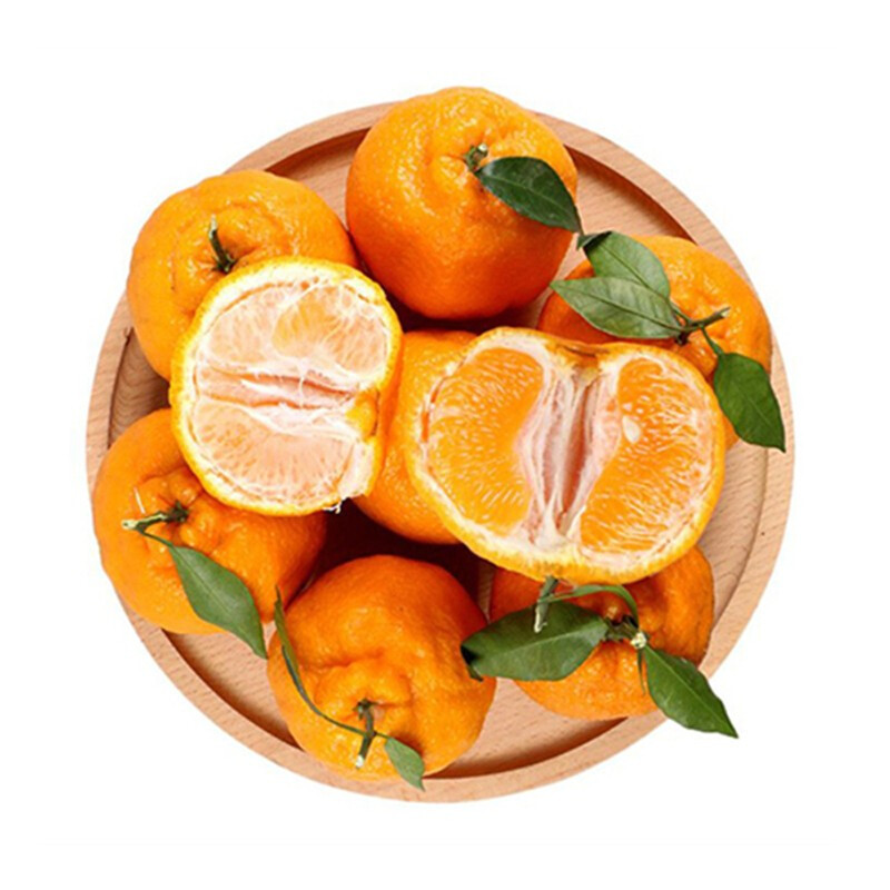 正宗四川春见耙耙柑橘子新鲜水果当季丑八怪柑橘粑粑柑桔礼盒