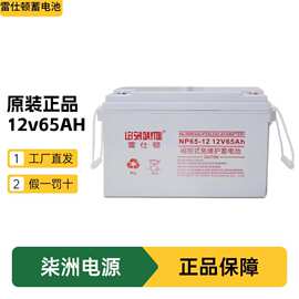 雷仕顿蓄电池NP65-12 太阳能电池 12v65AH UPS不间断电源 蓄电池