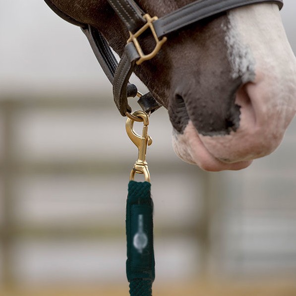 跨境亚马逊货源马绳马牵绳马缰绳 扁棉绳 外贸出口加工