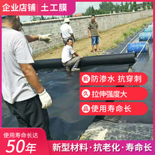 现货HDPE土工膜 养殖池用防渗膜加厚鱼塘藕池人工湖用复合土工膜