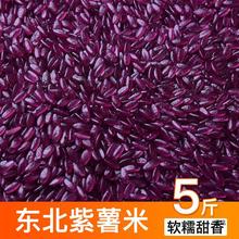 东北产紫薯米天然紫薯粉玉米粉谷物混合大米5斤