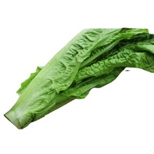 四川新鲜蔬菜 窝笋尖 刷火锅凤尾农民自产 自销莴笋叶 3斤装包邮