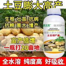 土豆高产专用叶面肥膨大增产增收营养抗病马铃薯膨大素膨大剂正品