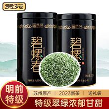 贡苑2023新茶明前特级碧螺春125g*2罐春季嫩芽绿茶叶礼盒装高档