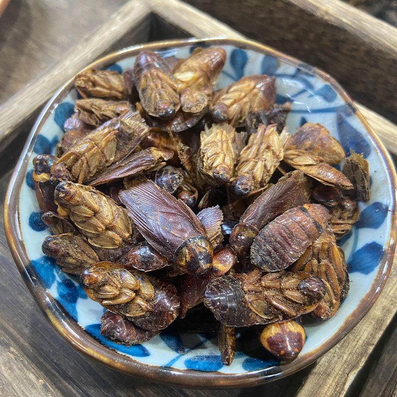 蟑螂中药 100克潮虫子西瓜虫非活虫体潮虫中药材新鲜干货自然晒干