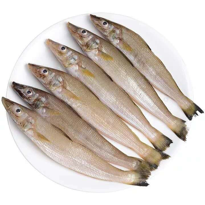 沙丁鱼新鲜海捕深海鱼鲜活冷冻速冻冰鲜海鲜水产烧烤食材包邮