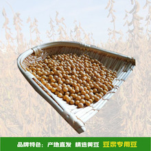 至盈黄金豆东北非转基因大豆豆制品黄豆五谷杂粮厂家批发商用